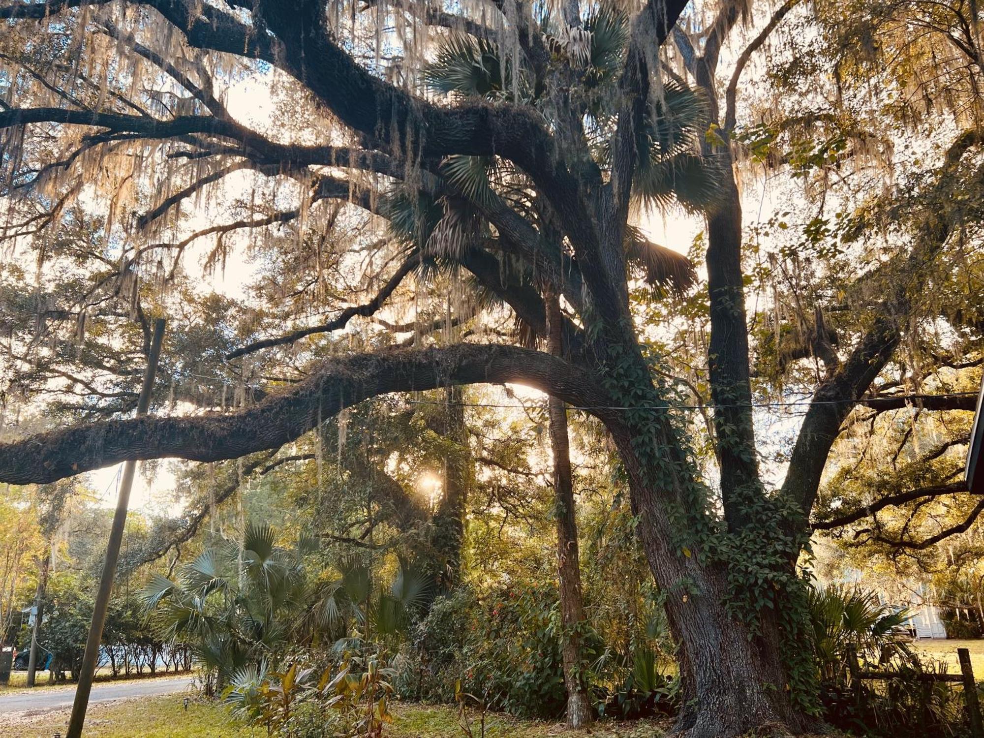 Villa Country Welcome Micanopy Exterior foto